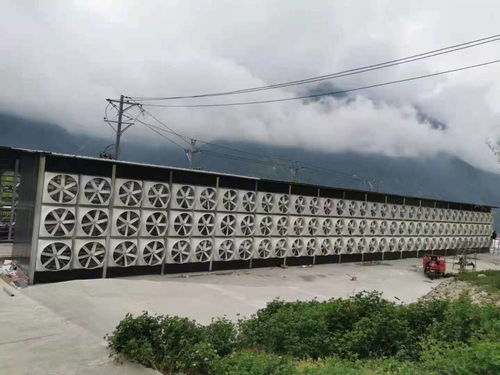 币圈地震却 无人伤亡 炒币者亏100万也要继续买,矿厂借私人电站挖矿