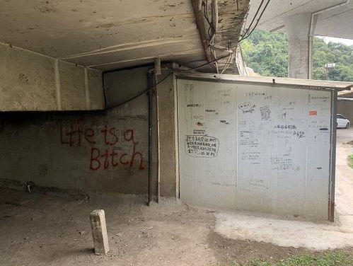 六年二班贵阳板房成“留言墙” 初恋记忆与辣眼睛内容的碰撞